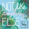 Download track Not Like Anybody Else (Acoustic Version)