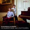 Download track Der Erlkönig, Op. 1, D. 328 (Arr. Für Klavier Vierhändig Von Florian Glemser)