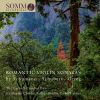 Download track Schubert: Violin Sonata In A Major, Op. 162, D. 574 