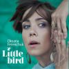 Download track Little Bird