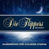 Download track Silbermond Und Goldene Sterne