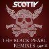 Download track The Black Pearl (Marc Van Linden Remix)