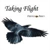 Download track Taking Flight