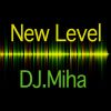 Download track New Level