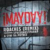 Download track Roaches (Remix)
