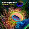Download track Late Night Tales: Friendly Fires (Continuous Mix)