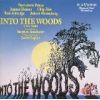 Download track Prologue: Into The Woods