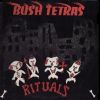 Download track Rituals
