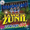 Download track Zuni - Mix Bailador: Bailando Tallao / Que Vengan Los Bomberos / Mete Y Saca