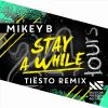 Download track Stay A While (Tiesto Remix)