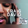 Download track What's Your Flava? Todd's Underground Flava Remix