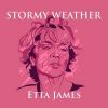 Download track Stormy Weather (Keeps Rainin' All The Time)