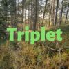 Download track Triplet