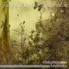 Download track Traumwelt (Thomas Hessler Afterhour Dub)