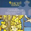 Download track Erschallet, Ihr Lieder BWV 172 - II Recitativo (Basso)