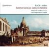 Download track 13. Concerto In D Minor Marcello BWV 974 - II. Adagio