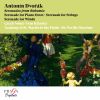 Download track Serenade For Strings In E Major, Op. 22, B. 52: V. Finale. Allegro Vivace