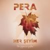 Download track Her Şeyim