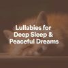 Download track Lullabies In Peace