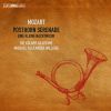 Download track Mozart - Serenade No. 9 In D Major, K. 320 Posthorn - VII. Finale. Presto
