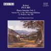 Download track 06. Piano Sonata No. 2 - II. Allegro Risoluto