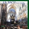 Download track 12. No. 22, Passion. Christus, Der Uns Selig Macht, BWV 620