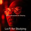Download track Ethnic Lo-Fi Soundtrack For Sleeping
