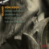 Download track 8. Viola Concerto Op. 33 - III. Allegro Non Troppo Energico
