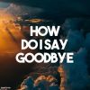 Download track How Do I Say Goodbye