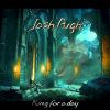 Download track King For A Day