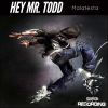 Download track Hey Mr. Todd (Radio Edit)