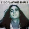 Download track Rosas De Fresa