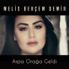 Download track Arpa Orağa Geldi