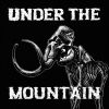 Download track Under The Mountain