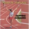 Download track The Weird Al Show Theme