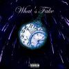 Download track What's Fake