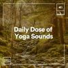 Download track Daily Dose Of Yoga Sounds, Pt. 5