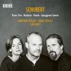 Download track Schubert: Arpeggione Sonata In A Minor, D. 821: I. Allegro Moderato