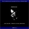 Download track Forty-Four Blues