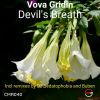 Download track Devil's Breath (Original Mix)