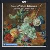 Download track Concerto À 4 In A Minor, TWV 43a3 IV. Vivace