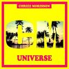 Download track Secret Love 2017 (Chrizz Morisson Future Remix)