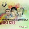Download track Lost Soul (Original Mix)