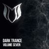 Download track Danger Zone (Extended Mix)