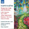 Download track Cello Concerto No. 2 In D Minor, Op. 119: I. Allegro Moderato E Maestoso-Andante Sostenuto
