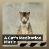 Download track A Cat's Time