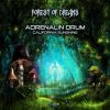Download track Forest Of Dreams