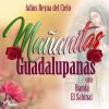 Download track Mi Virgen Ranchera