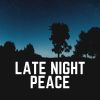 Download track 1 Hour Of Night Time Nature Sounds, Pt. 11