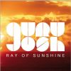 Download track Ray Of Sunshine (Stan Serkin Radio Edit)